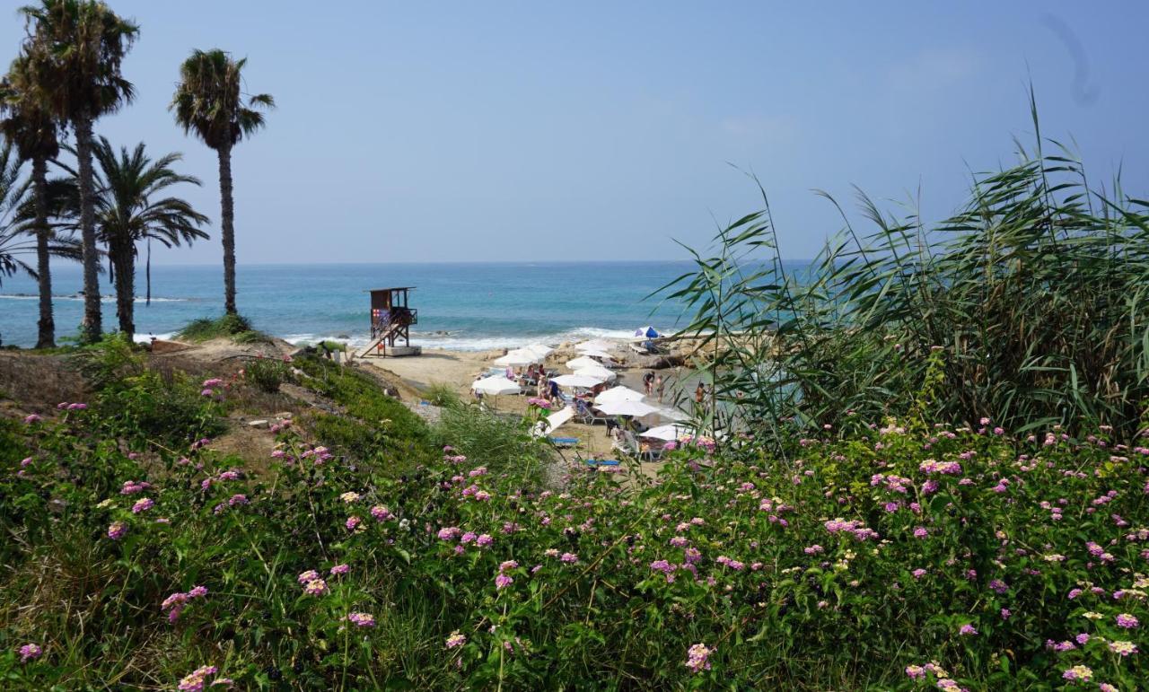Paphos Gardens, Near Beach Dış mekan fotoğraf